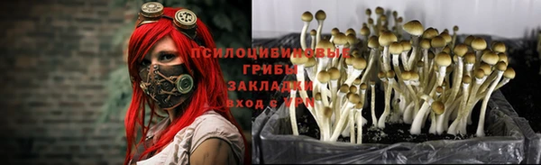 jwh Инсар