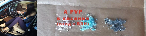 гашик Иннополис