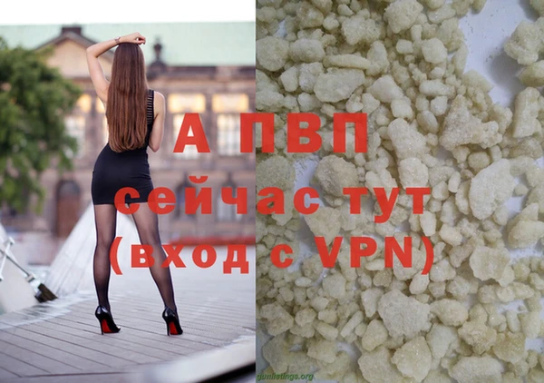 a pvp Инта