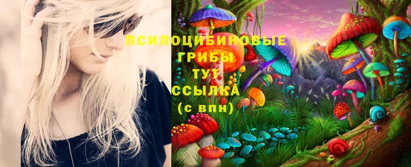 jwh Инсар
