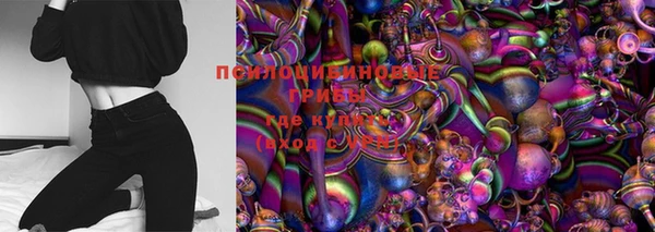 гашик Иннополис